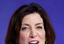 کیتھی ہوچول اور لی زیلڈن گورنر کیلئے پرائمری انتخابات میںامیدوار منتخب