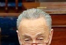 چک شومر نے پلوسی کو خطرے میں قرار دیدیا، ڈیموکریٹس کی ایوان میں اکثریت کی پیشگوئی