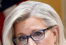 لزچینی کا ٹرمپ پرچھ جنوری کے جرم کے ارتکاب کا الزام