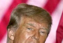 ٹرمپ کی آئین معطل کرنیکی تجویز سیاسی میدان میںہلچل