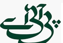 پی آئی اے امریکہ کیلئے براہ راست پروازیں شروع کریگی