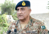 پاکستان امن و استحکام کے عمل سے گزر رہا ہے، آرمی چیف
