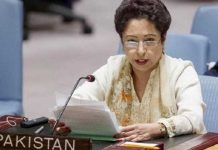 دہشتگردی روکنے کیلئے عالمی کوششوں کی ضرورت ہے:ملیحہ لودھی