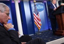 وائٹ ہاﺅس نے ڈاکٹر فوسی کو عہدے سے ہٹانے کی تردید کر دی