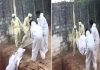بھارت میں کورونا سے ہلاک لاشوں کو گڑھے میں پھینکا جا رہا ہے