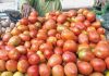 ٹماٹر کی قلت پھر سراٹھانے لگی، ڈیڑھ ماہ میں قیمت دگنی ہوگئی