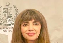 نئے سال کی آمد پر پاکستان نیوز کی ٹیم اور پاکستانی کمیونٹی کو مبارکباد:قونصل جنرل