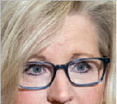 لیز چینی کی ممکنہ صدارتی امیدوار ٹرمپ کی شدید تنقید اور مخالفت