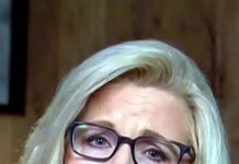 نمائندہ لزچینی نے صد ارتی انتخاب لڑنے کا اعلان کر دیا