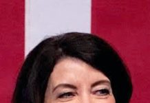 سیاہ فام کے 90 فیصد ووٹرز نے کیتھی ہوشل کو گورنر نیویارک بنا دیا