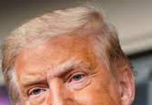 ٹیکس فراڈ کے الزام میں ڈونلڈ ٹرمپ کی کمپنی کو 1.6 ملین ڈالر جرمانہ