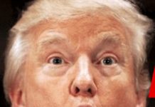 ٹرمپ گرفتار ہوئے تو آئندہ الیکشن جیت جائیں گے، ایلون مسک کی پیشگوئی