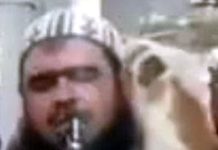 نماز تراویح میں بلی امام کے کاندھے پر بیٹھ گئی؛ ویڈیو وائرل