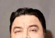 یوٹیوبر عادل راجہ لندن میں گرفتار، بعد ازاں ضمانت پر رہائی