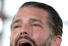 ٹرمپ جونیئر کو والد کی کامیابی کے بعد نئی جاب مل گئی