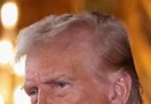 ٹرمپ کی سزا روکنے کی اپیل مسترد