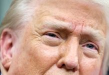 منصوبے کے تحت فلسطینیوں کو غزہ واپسی کا حق نہیں ہوگا: ٹرمپ