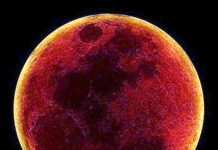 پاکستان سمیت دنیا بھر میں آئندہ ماہ بلڈ مون کا نظارہ کیا جاسکے گا