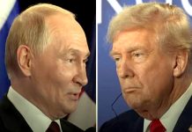 روس اور یوکرین دونوں قیام امن کے خواہاں ہیں : ٹرمپ