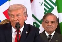 صدر ٹرمپ نے غزہ میں امن کیلئے دن رات کام کیا: شہباز شریف کا خطاب