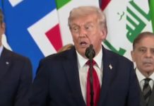 پاکستان کا غزہ میں قیام امن کی عالمی کوششوں کا حصہ بننے کا اعلان